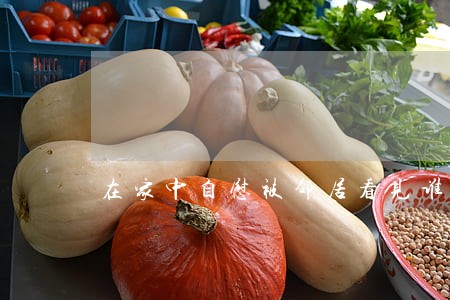 在家中自慰被邻居看见谁违法 在家中自慰被邻居看见谁违法