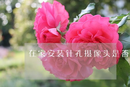 在家安装针孔摄像头是否违法 在家安装针孔摄像头是否违法