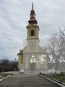 在家怎么查信用卡逾期 在家怎么查信用卡逾期