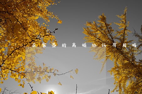 在家签的离婚协议有用吗 在家签的离婚协议有用吗