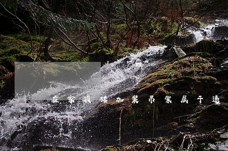 在家顶楼加装吊架属于违法吗 在家顶楼加装吊架属于违法吗