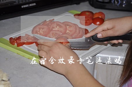 在宿舍放录音笔违法吗 在宿舍放录音笔违法吗