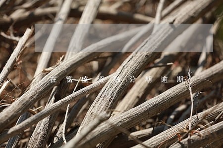 在富盛资融分期逾期 在富盛资融分期逾期