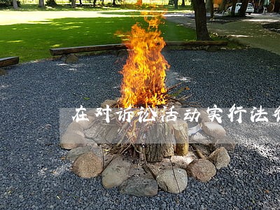 在对诉讼活动实行法律监督机关