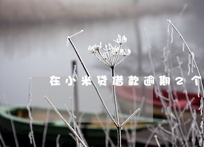在小米贷借款逾期2个月 在小米贷借款逾期2个月