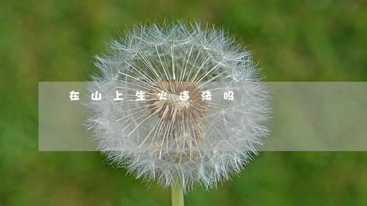 在山上生火违法吗 在山上生火违法吗