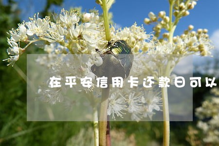 在平安信用卡还款日可以逾期吗