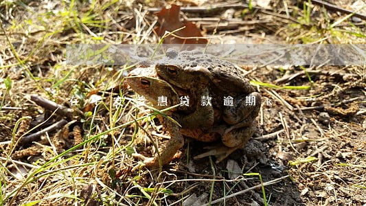 在平安普惠贷款逾期k 在平安普惠贷款逾期k