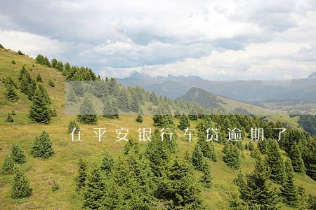 在平安银行车贷逾期了 在平安银行车贷逾期了