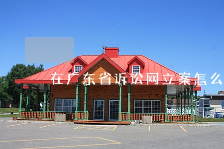 在广东省诉讼网立案怎么撤回
