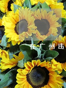 在广州违法停怎么处罚 在广州违法停怎么处罚