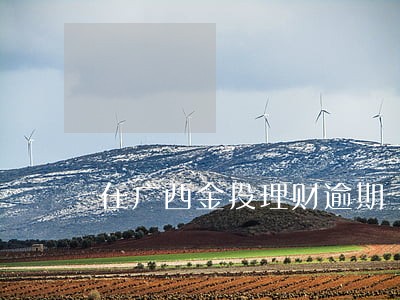 在广西金投理财逾期了怎么办 在广西金投理财逾期了怎么办