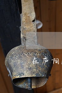 在庐阳法院获刑 在庐阳法院获刑