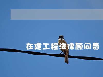 在建工程法律顾问费