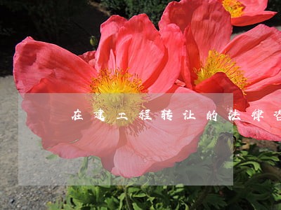 在建工程转让的法律咨询
