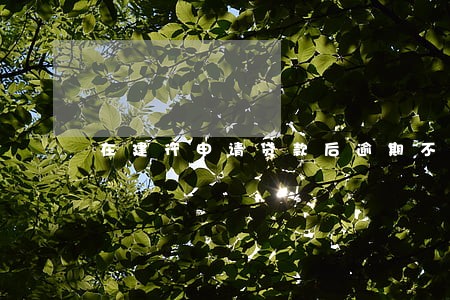 在建行申请贷款后逾期不还 在建行申请贷款后逾期不还