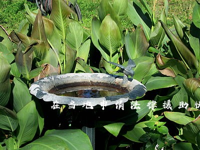 在当地申请法律援助快吗 在当地申请法律援助快吗