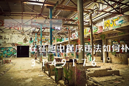 在征地中程序违法如何补救/2023013149176 在征地中程序违法如何补救/2023013149176