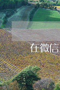 在微信上发兼职广告违法吗 在微信上发兼职广告违法吗