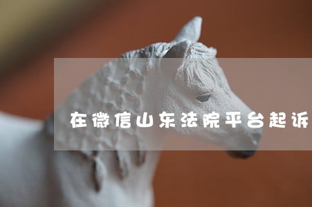在微信山东法院平台起诉的 在微信山东法院平台起诉的