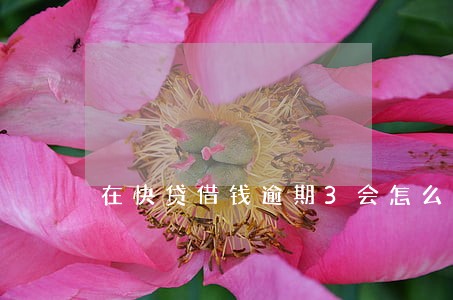 在快贷借钱逾期3会怎么样 在快贷借钱逾期3会怎么样