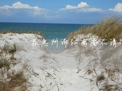 在惠州诉讼离婚不请律师多少钱 在惠州诉讼离婚不请律师多少钱