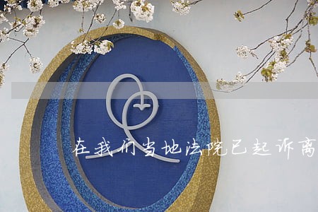 在我们当地法院已起诉离婚 在我们当地法院已起诉离婚
