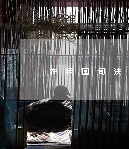 在我国司法中可以直接使用宪法吗 在我国司法中可以直接使用宪法吗