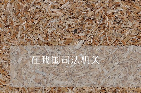 在我国司法机关 在我国司法机关