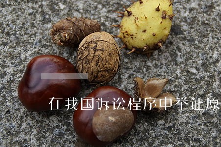 在我国诉讼程序中举证原则是什么