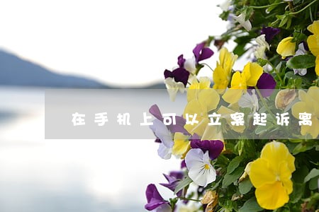 在手机上可以立案起诉离婚吗 在手机上可以立案起诉离婚吗