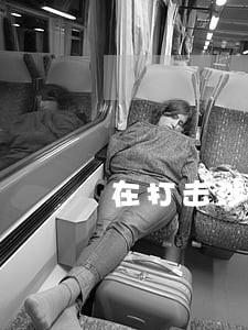 在打击涉林违法行动的讲话 在打击涉林违法行动的讲话
