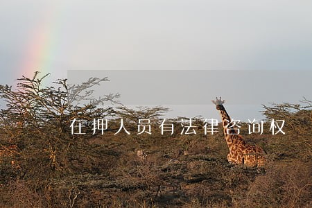 在押人员有法律咨询权 在押人员有法律咨询权