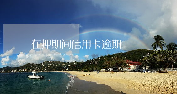在押期间信用卡逾期 在押期间信用卡逾期