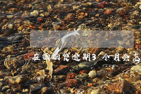 在拍拍贷逾期3个月会怎样 在拍拍贷逾期3个月会怎样