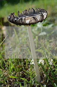 在拘留后多长时间能到法院起诉吗 在拘留后多长时间能到法院起诉吗