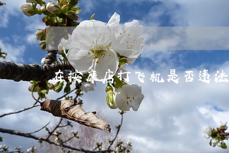 在按摩店打飞机是否违法 在按摩店打飞机是否违法