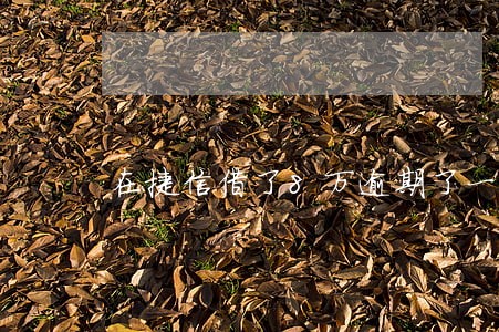 在捷信借了8万逾期了一年了
