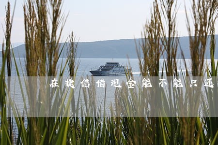 在捷信借现金能不能只还本金 在捷信借现金能不能只还本金
