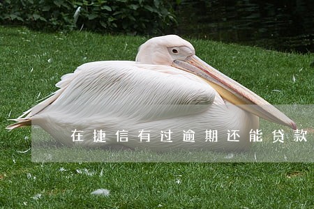 在捷信有过逾期还能贷款吗 在捷信有过逾期还能贷款吗