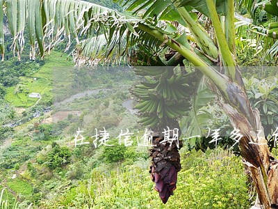 在捷信逾期一年多还能网贷吗 在捷信逾期一年多还能网贷吗