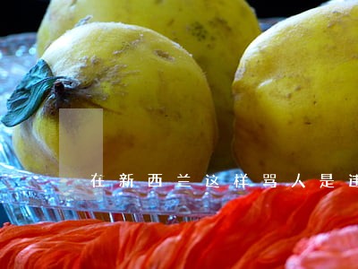 在新西兰这样骂人是违法的 在新西兰这样骂人是违法的
