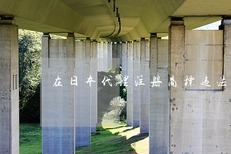 在日本代理注册商标违法吗 在日本代理注册商标违法吗