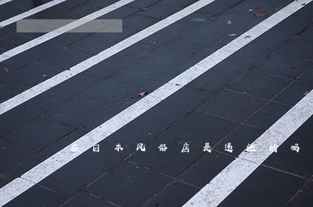在日本风俗店是违法的吗