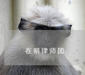在明律师团 在明律师团