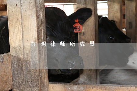 在明律师所成员 在明律师所成员