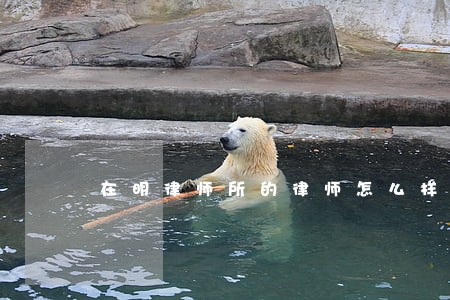 在明律师所的律师怎么样 在明律师所的律师怎么样