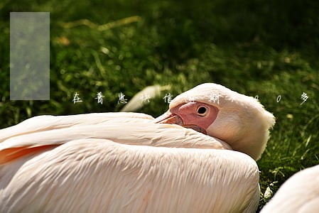 在普惠快信逾期100多天了 在普惠快信逾期100多天了