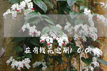 在有钱花逾期100天 在有钱花逾期100天