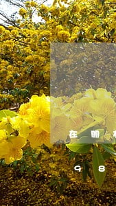 在朋友圈发产品违法/2023020659841 在朋友圈发产品违法/2023020659841